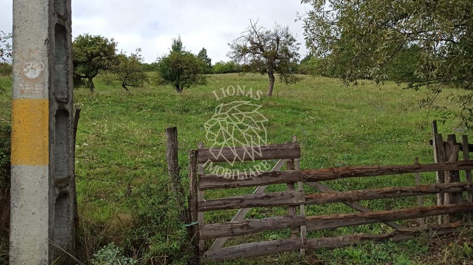 Teren intravilan 12600 mp-utilitati-ideal case, investitie-Livezile - Poză 5