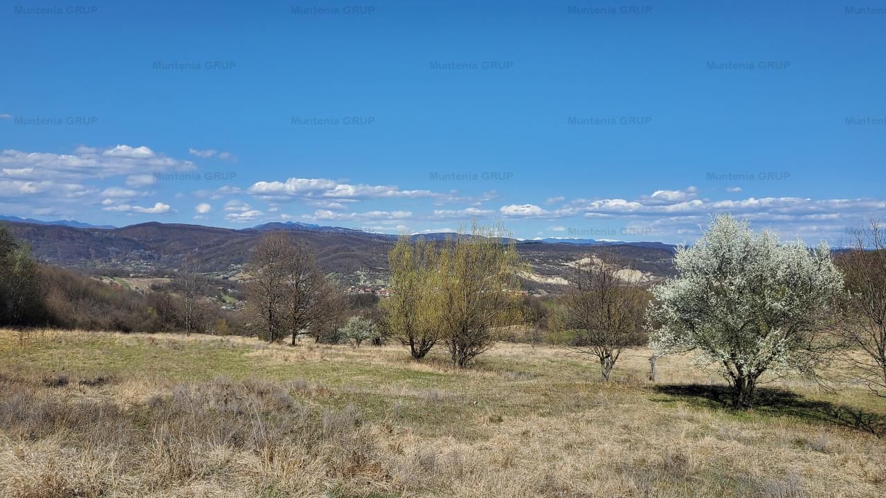 Ocazie ! OCNELE MARI - Sorat, 17,83 Ha. cu pozitie exceptionala - Poză 2