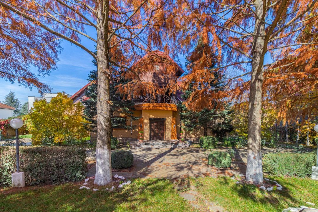 Casa din Natura Balotesti-6300 mp teren-Acces privat la lac si ponton propriu - Poză 5