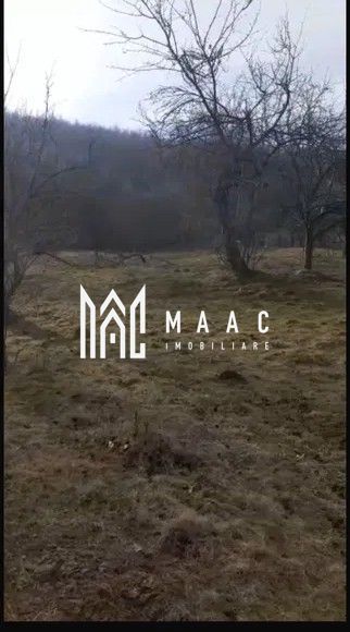 Teren | Rășinari | Trainei | 3139 Mp | - Poză 2