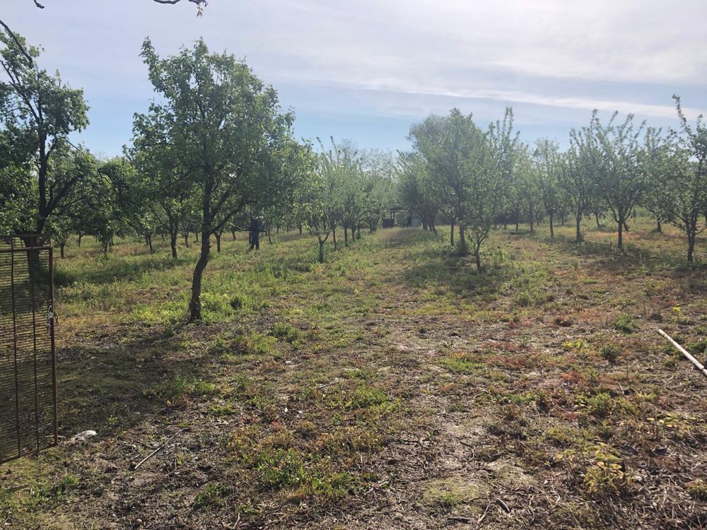Casa de vanzare in loc. Crucisor - Poză 8