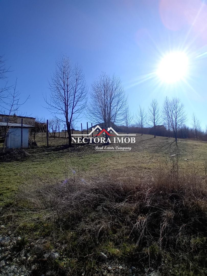 NECTORA IMOB-Parcele teren Intravilan Baile 1 Mai, parcele alipite,PUZ - Poză 2