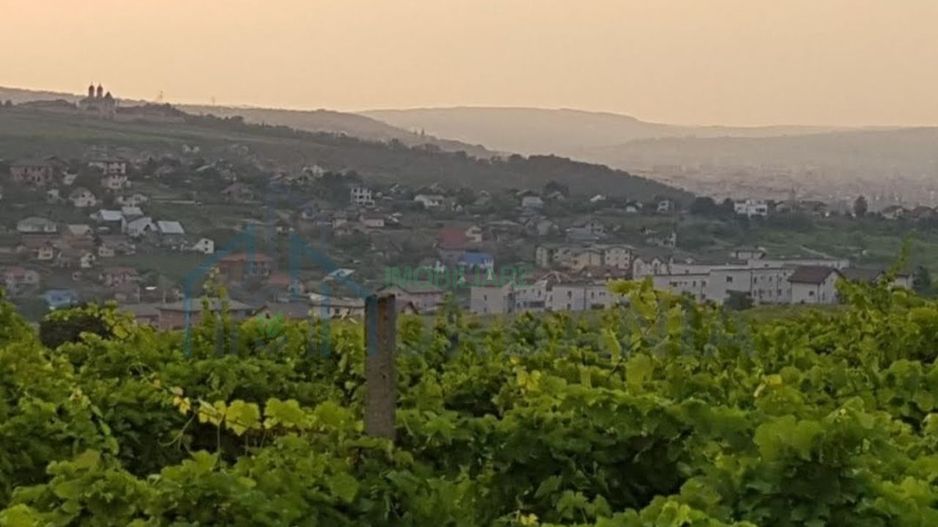 Teren intravilan 1.600 mp, Vișan, str. Al. Macedonski – ideal dezvoltare duplexuri/bloc - Poză 1