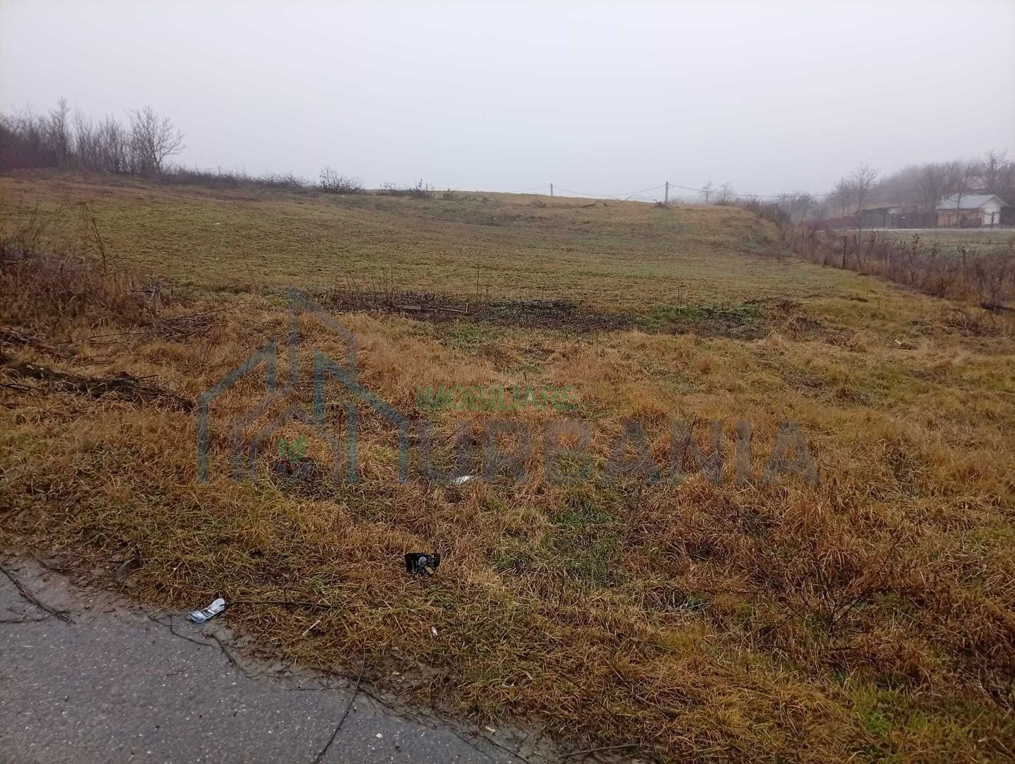 # - teren intravilan 820mp Proselnici - Poză 4