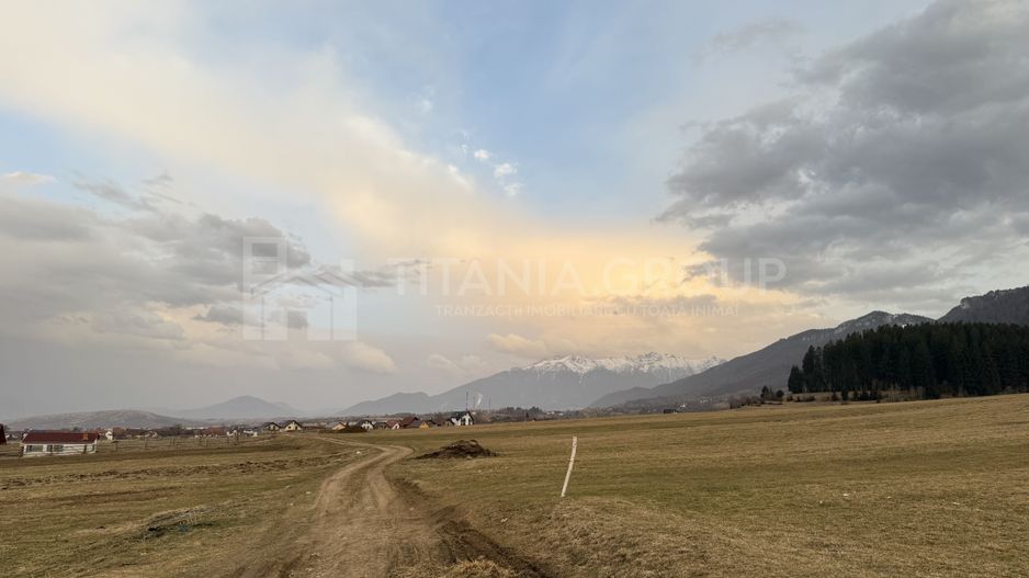 Teren intravilan, 2548 mp, cu priveliște superbă - Zărnești - Poză 6