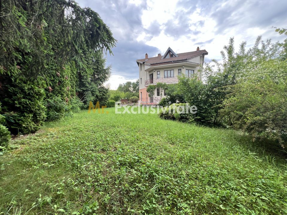 Acasă la Bascov- Județ Arges cu peisaj de poveste - Poză 6