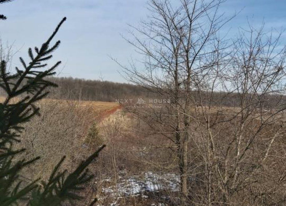 Teren la 35 km de Bucuresti - Izvorani - Ciolpani - Poză 11