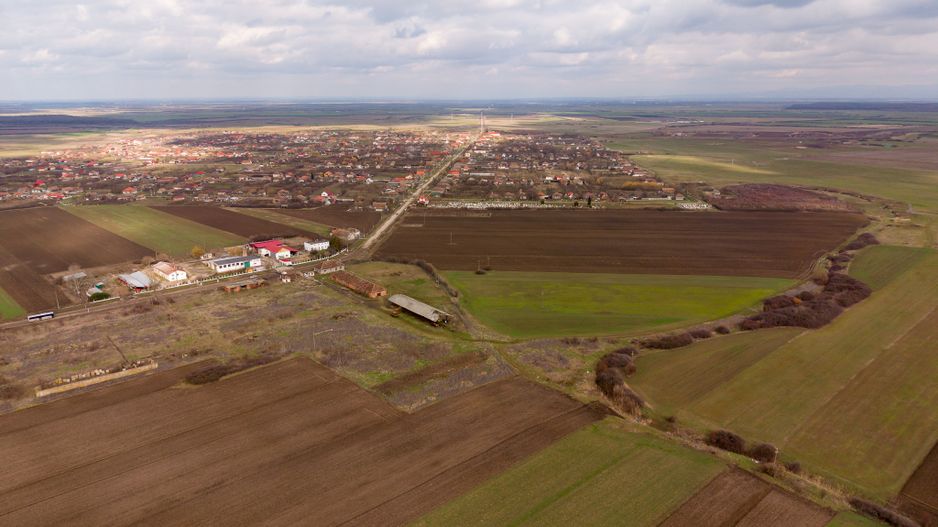 Fermă cu teren intravilan de 35000 mp în Mișca - Poză 6