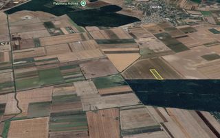 Teren mare Dascalu / Ilfov – lângă A0, deschidere la pădure - Poză 1