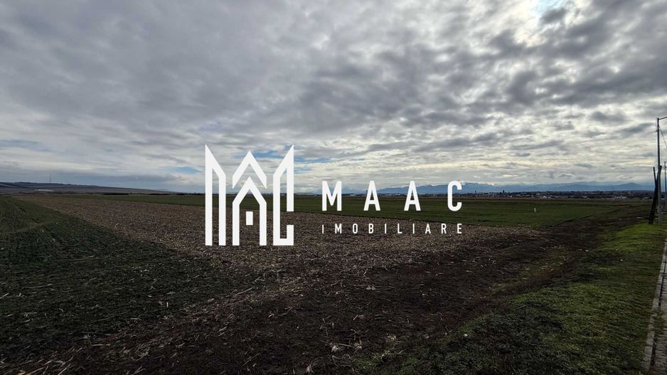 Teren intravilan | 9600 mp | Șură Mică | Utilități | Drum Asfaltat - Poză 4