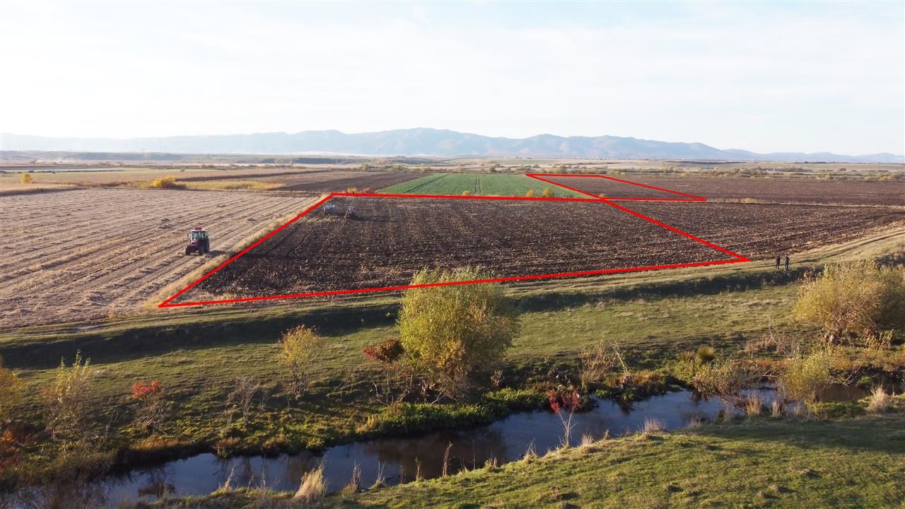 Halchiu Brasov, 80.000 mp teren extravilan - agricol - Poză 3