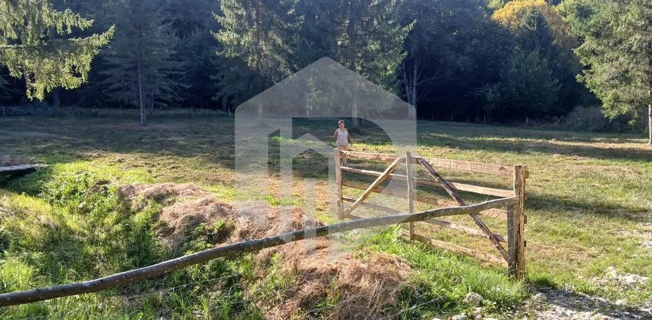 Teren Valea Avrigului- 900 mp- Intravilan+ Certificat de urbanism - Poză 6