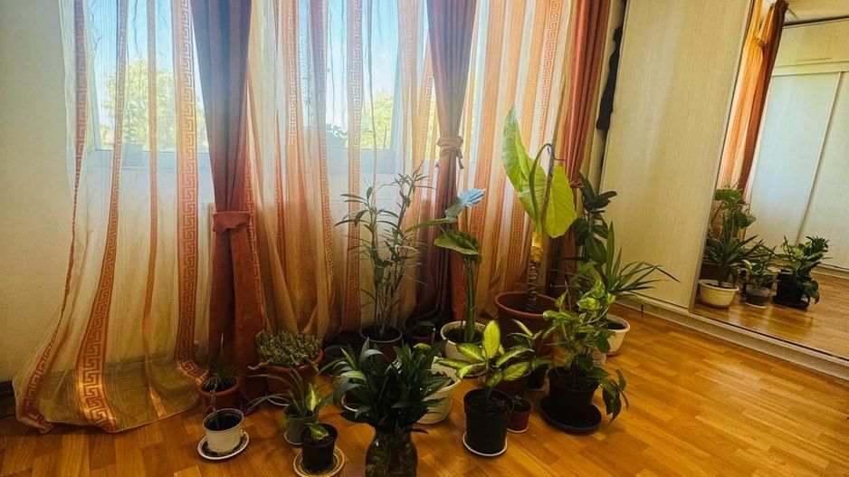 Apartament 3 camere renovat la 30 de Km de Oradea - Poză 7