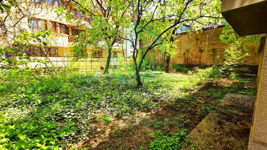 Parter vilă + demisol | Aviatorilor – Herăstrău | Grădină - Poză 2