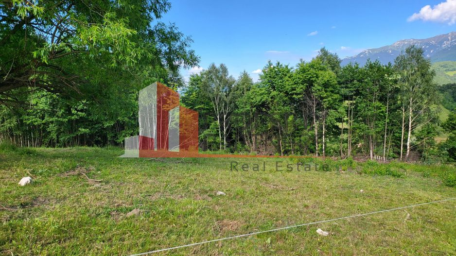 Teren Drumul Carului, Moieciu Suprafață: 29.595 mp | Intravilan - Poză 5