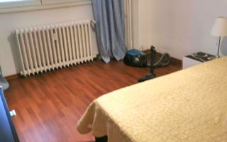 Apartament 2 camere renovat, cat friendly, balcon, etaj 1, Basarabiei - Poză 5