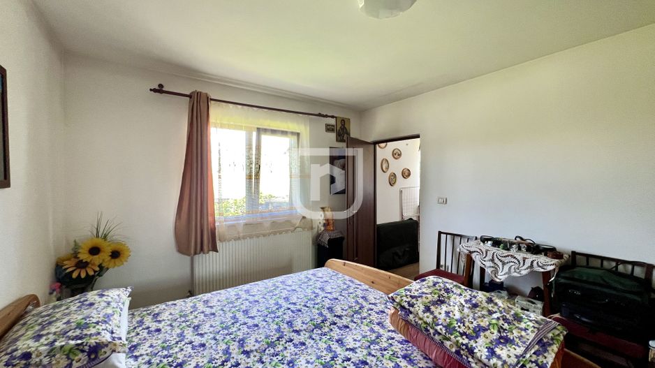 Ferma agricola, plantatii de mure, trandafiri, vita-de-vie - Poză 13