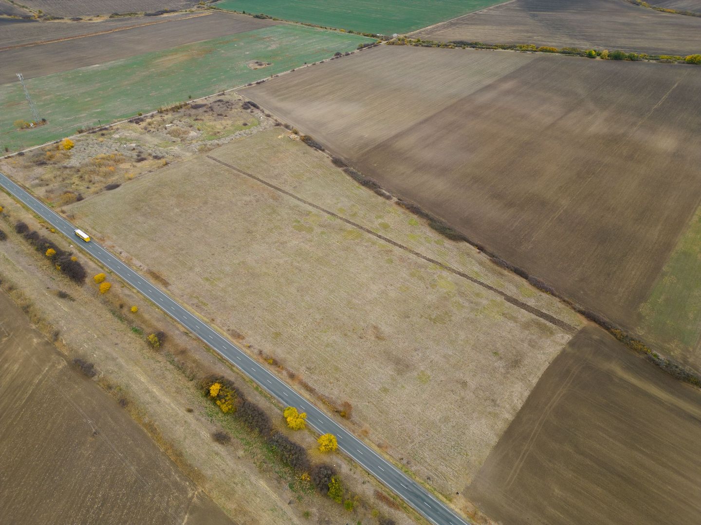 Teren 22.500 mp–Pecica, jud. Arad,Posibilitate PUZ - Poză 4