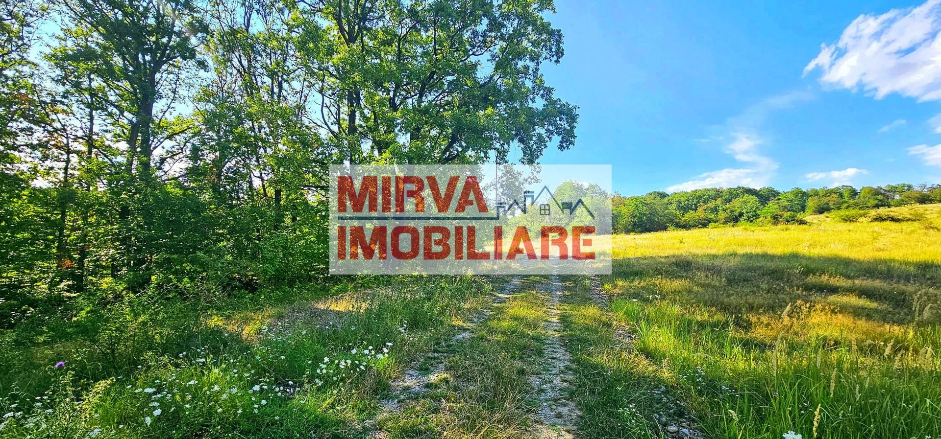 Teren intravilan construibil 3.500 mp Păcureți | UTR 6, P+2, POT 30% - Poză 4