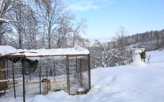 Proprietate rară | 4458 mp teren intravilan | Casă solidă, natură, liniște totală. | Bratca, Bihor. - Poză 54