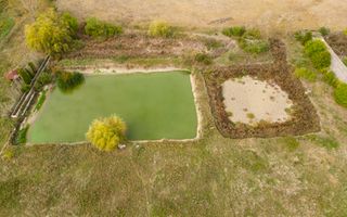 Teren intravilan cu iazuri și casă - Chișineu-Criș - Poză 32