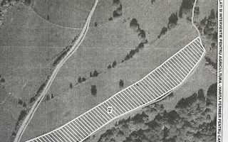 Teren extravilan 2ha, priveliste panoramica spre munti /Poiana Marului - Poză 13