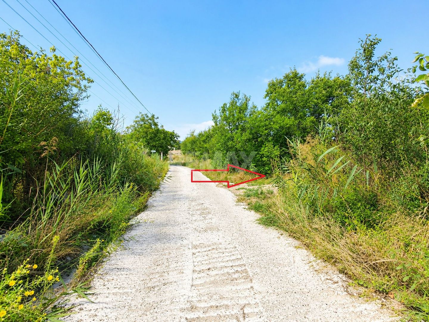 Lot pomiol în Sângera | Î.P. „Roadă Bună” | Zonă Locuită - Poză 4