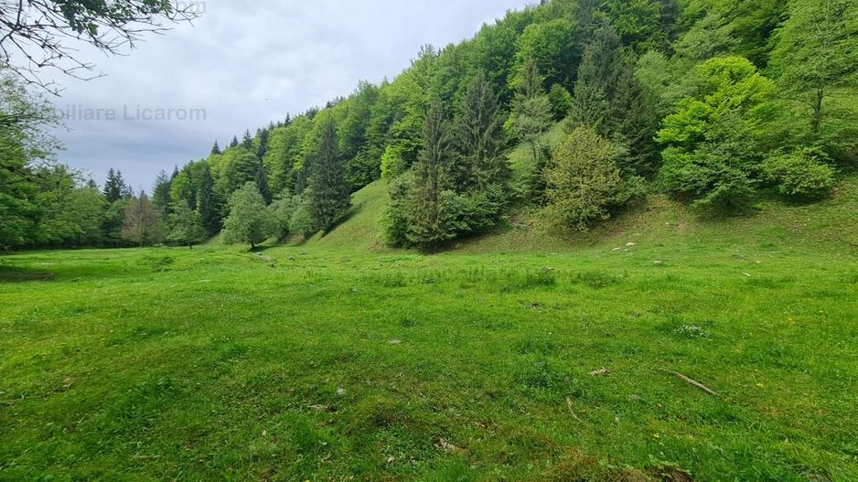 13005 mp teren faneata in Bran Simon cu fornt de 57 mp - Poză 3