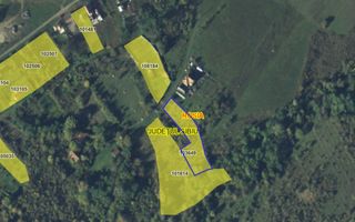 Teren constructii casa/cabana 2000 mp Valea Hrtibaciului Nucet  - Poză 4