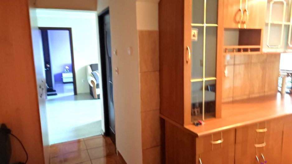 Apartament de inchiriat Nufaru - Poză 2