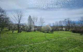 De vanzare casa 6 camere 8142 mp teren in Oarda de Sus - Poză 33