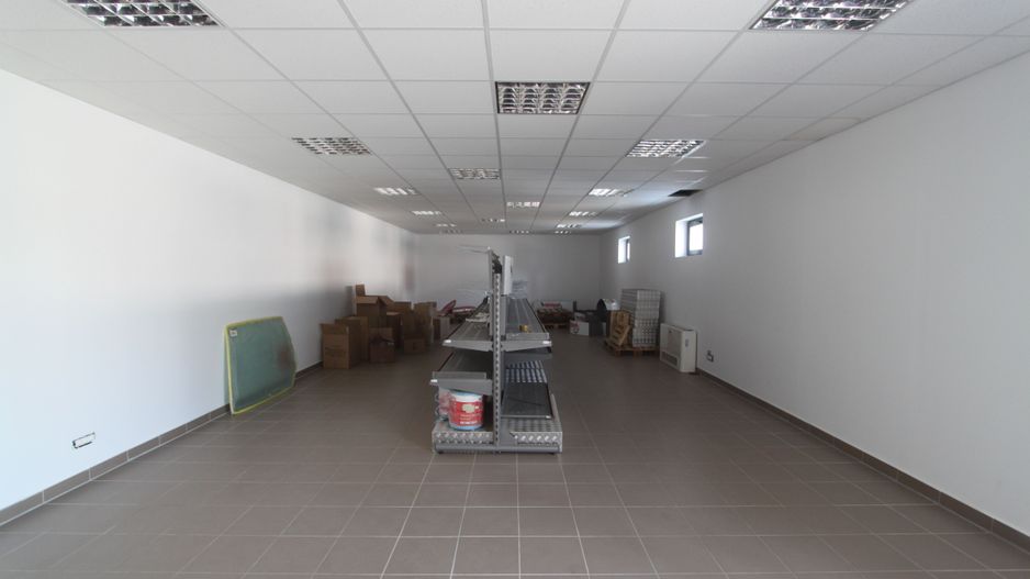 Spațiu industrial la sosea: Dumbravita - Giarmata - Poză 46