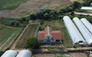 Casă individuală S+P+1E | 248 mp utili | Teren 1.322 mp | Băleni Sârbi - Poză 2