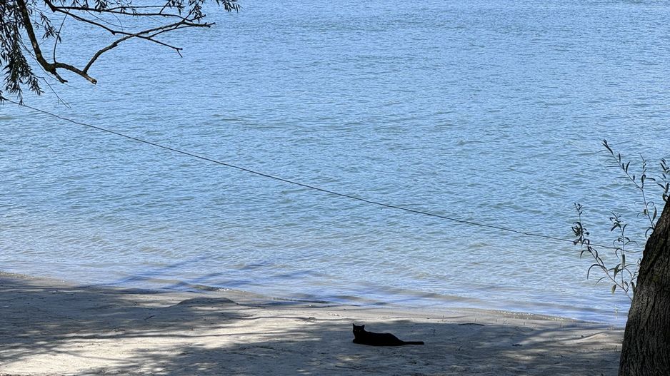 Hotel 25 camere 100 m deschidere DELTA DUNARII teren 12000 mp acces auto - Poză 32