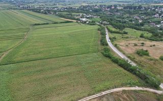 Teren de 3.600 mp Racova - Poză 10