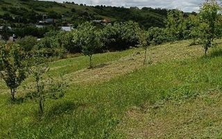 Teren intravilan de vanzare, Vorovesti, comuna Miroslava - Poză 5
