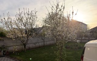 Casă individuală P+M în Eurocartier Brestei – Craiova | 505mp - Poză 13