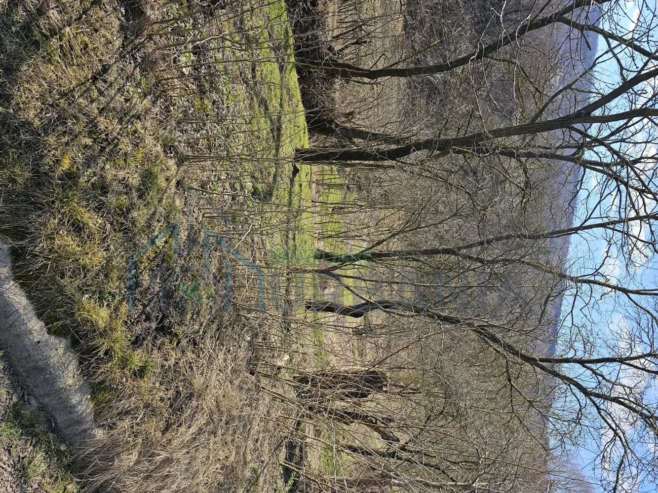 Teren intravilan sat Pocreaca com Schitul Duca Iasi - Poză 2