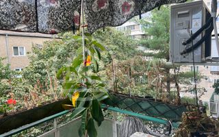 Apartament cu 2 camere de vanzare Rogerius Oradea - Poză 8