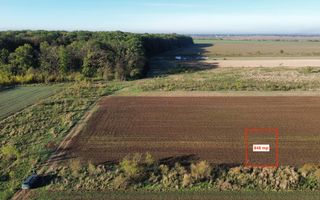 Teren Intravilan Cosoba - Poză 4