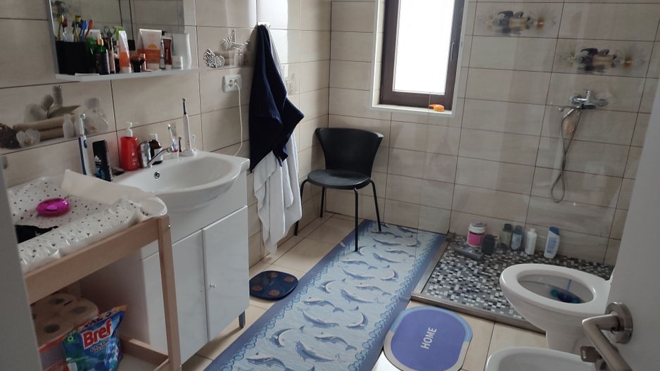 Sanandrei, Spurafete generoase, drum asflatat - Poză 8