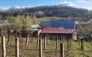 Casă P+M cu 1.558 mp teren, livadă și garaj | Barza, Gorj Comision 0%  - Poză 15