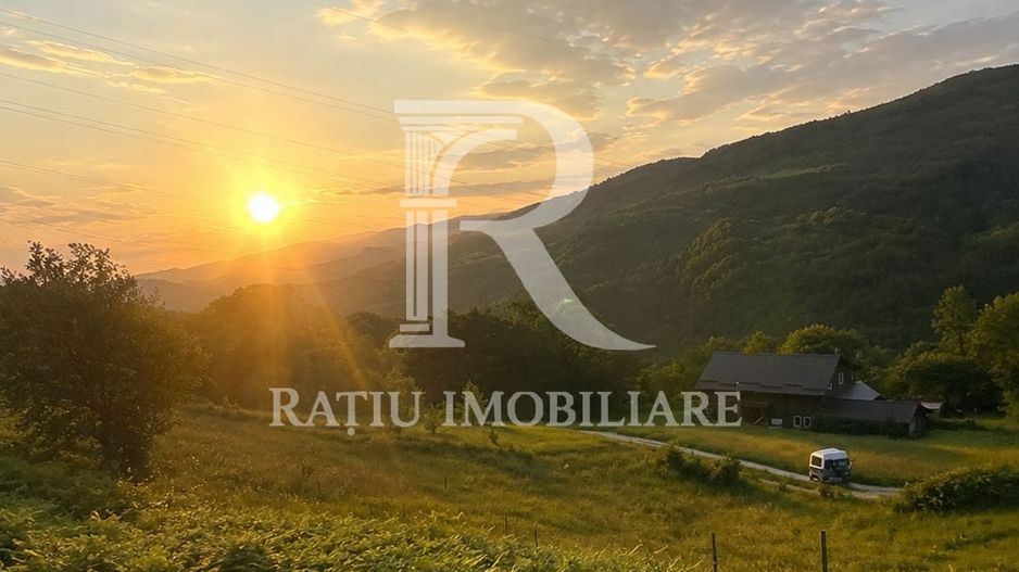 Teren 10.900mp | Panoramă în Apuseni | Remeți -Ideal pentru Investitii - Poză 1