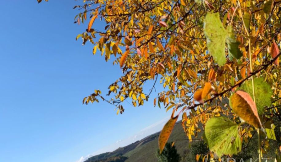 De vânzare casă + teren 30 ari - Silivașu de Câmpie, - Poză 1