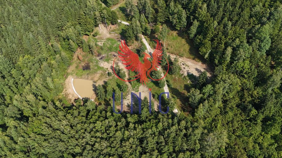 18000 mp de natura pura ,Lupeni, langa Straja - Poză 24