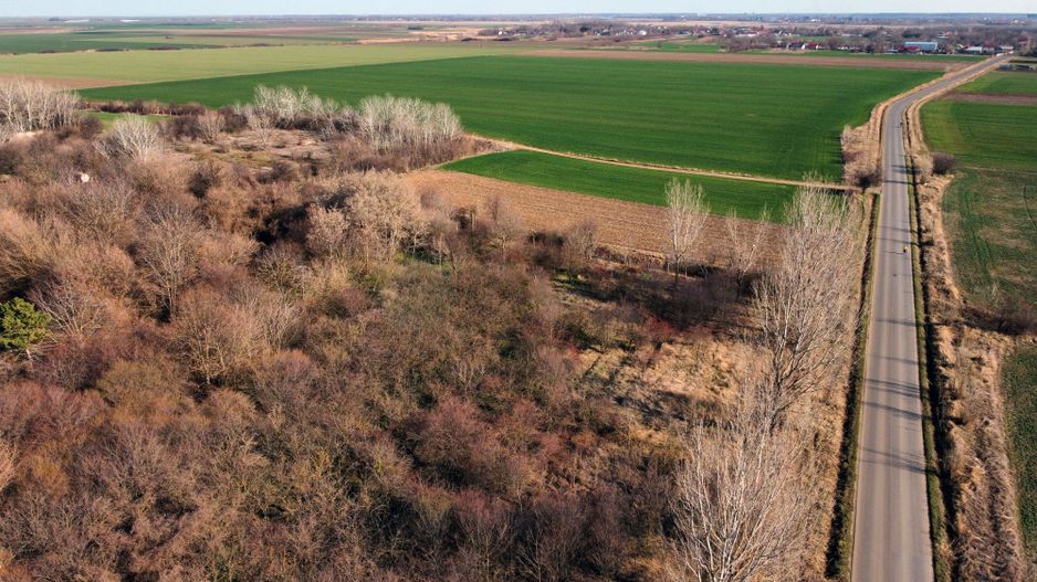 Ferma si livada de meri in judetul Ilfov - Poză 23