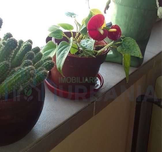 Inchiriez apartament 2 camere zona Dacia - Poză 7