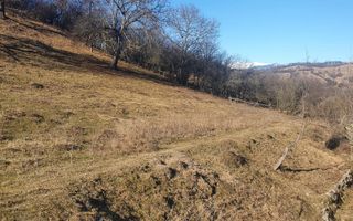 TEREN INTRAVILAN 4614 MP, CAMPULUNG - VALEA ROMANESTILOR - Poză 10