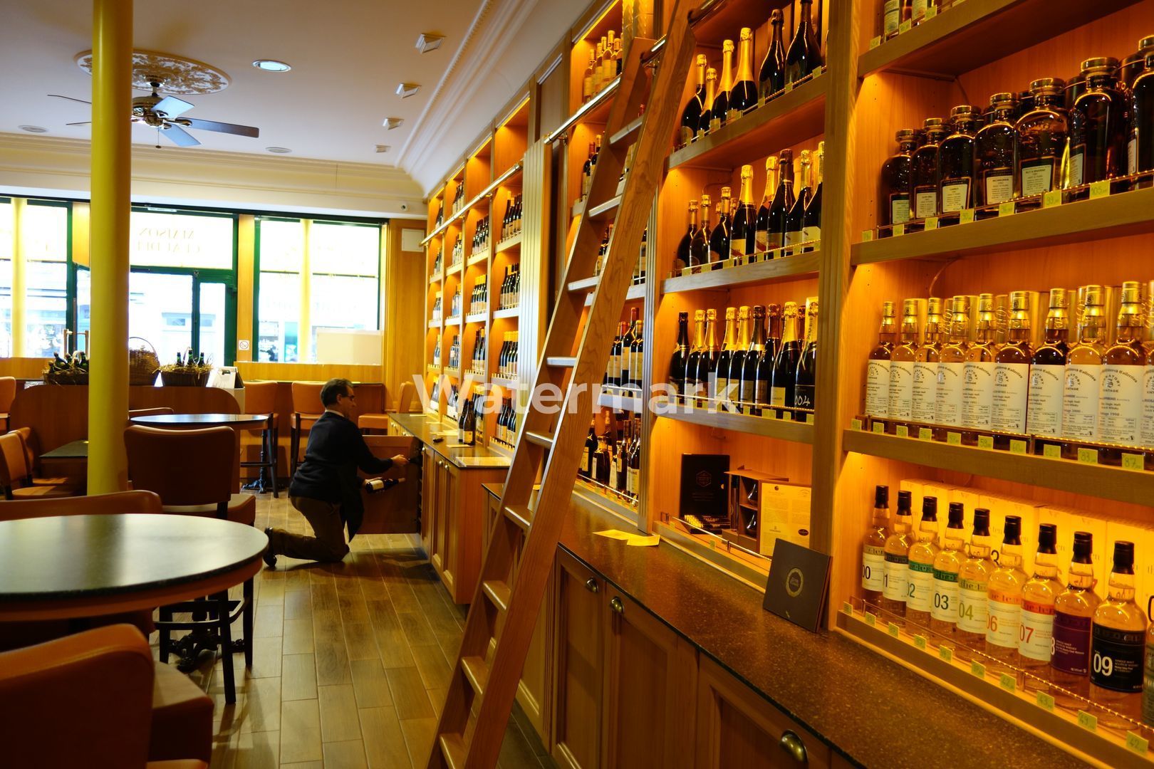 Vila individuala D+P+1+M 380mp utili - Poză 9