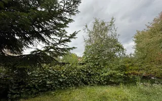 CASĂ CU SUFLET, ÎN INIMA COVASNEI, de vânzare - Poză 18